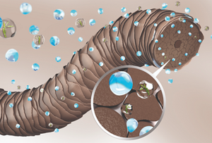 Triple Moisture Bounce Complex