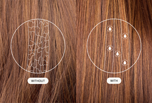 Close-up microscopic comparison of hair with and without Goldwell's Dualsenses Panthenol & Hemisqualane Formula, showing how the technology preserves colour pigments within the hair fibre to prevent fading