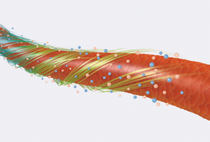 Image of Product innovation 