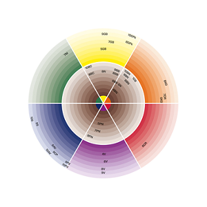 GW_COL_GTG26_GlossTones_ColorWheel_4c_72