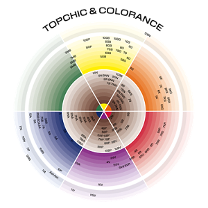 GW_TC-COL_Combi_ColorWheel_sRGB_300_1