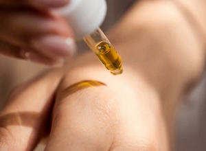 12_Animal_Safety_799c791e-5572-48ff-a96f-dbdcbe6ab882_520x500