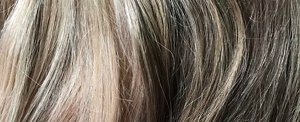 Close-up of greige blonde hair with dark ash highlights and lowlights