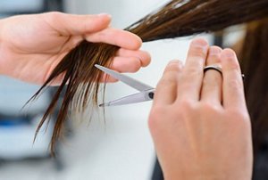 Close-up of a stylist cutting hair with scissors