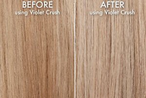 Before and after shot of toned blonde hair after using a purple shampoo