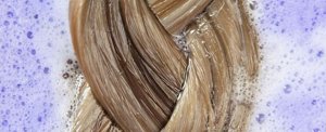 Close-up of blonde hair soaking in water after being toned