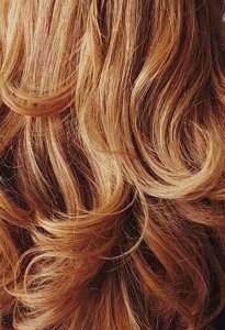 woman with grey hair looking into camera