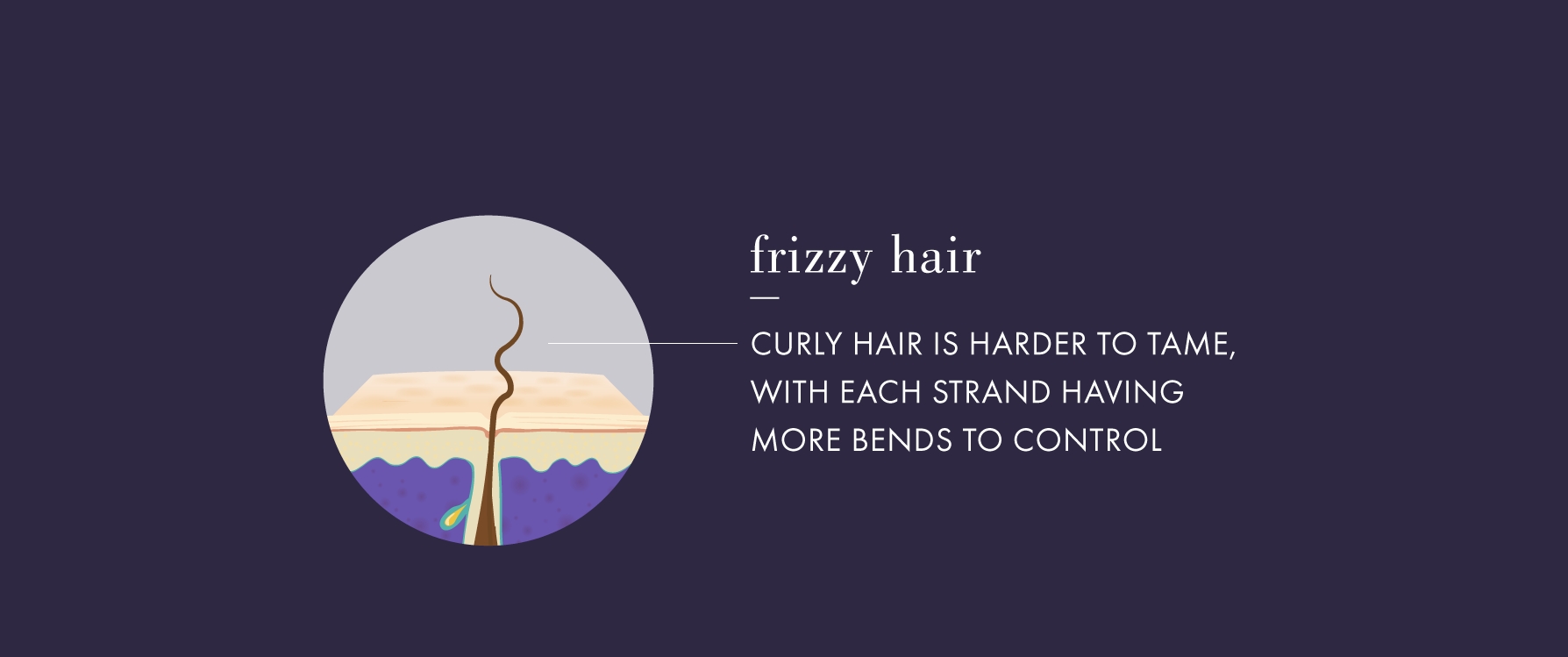 graphic showing what frizzy curls look like