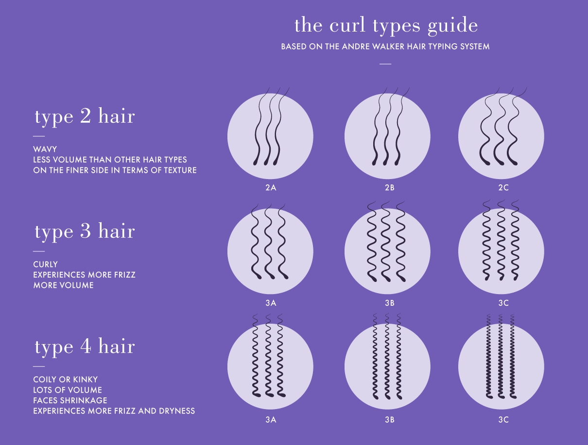 graphic explaining type 2, 3, and 4 type curls
