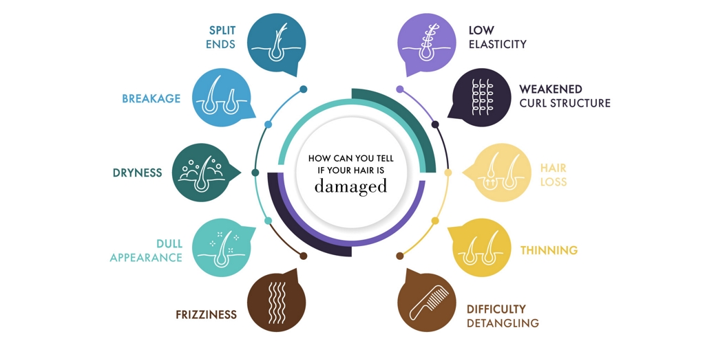 graphic to tell how to know that your hair is damaged