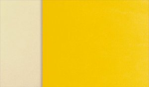 john-frieda-sheer-blonde-background