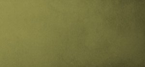 john-frieda-repair-detox-color