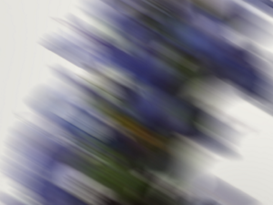 FRAGRANCE_Emoti_Waves