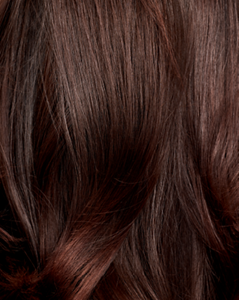 Nav_Bar_Imagery_Colour