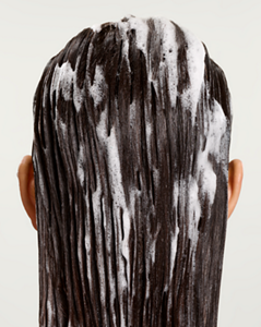 Nav_Bar_Imagery_Commitment