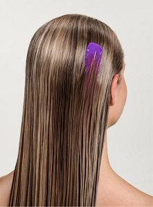 133707_JF_2026_New_Website_ProductDetailPage_Desktop_382x520px_Blonde_Process_Salon_Blonde_toners_champagne