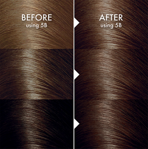 137081_JF_PFC_SecondaryAssets_Update_Website_Brown_5B_BA_Shades_Desktop_960x968px