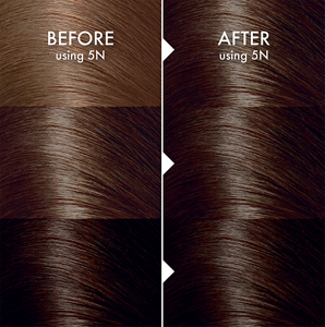 137081_JF_PFC_SecondaryAssets_Update_Website_Brown_5N_BA_Shades_Desktop_960x968px