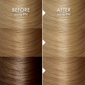 137081_JF_PFC_SecondaryAssets_Update_Website_Blonde_9N_BA_Shades_Desktop_960x968px