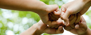 hand holding a plastic case in the laboratory with a green leaf