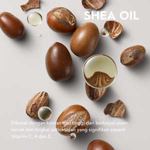 MultiBenefitHairOil_Ingredient_SheaOil_ECOM_id