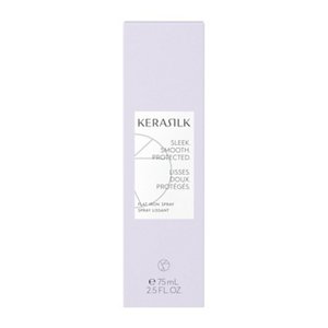 KS_MB2023_Styling_CGI_OTC_STYLE_FlatIronSpray_AS_BoxFront_ECOM