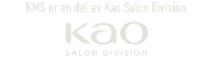 kao SALON DIVISION