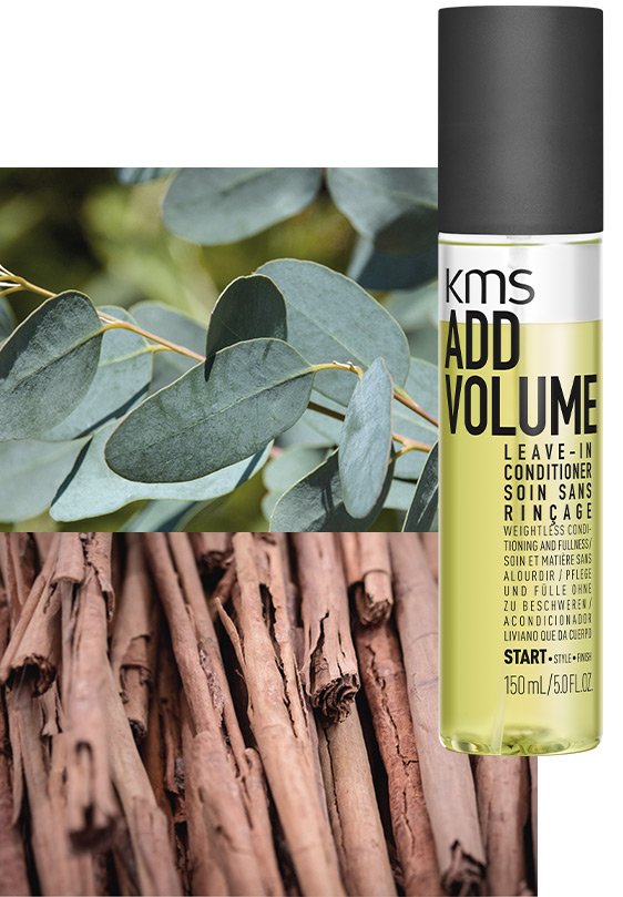 ADDVOLUME Leave-In Conditioner ADDVOLUME Leave-In Conditioner