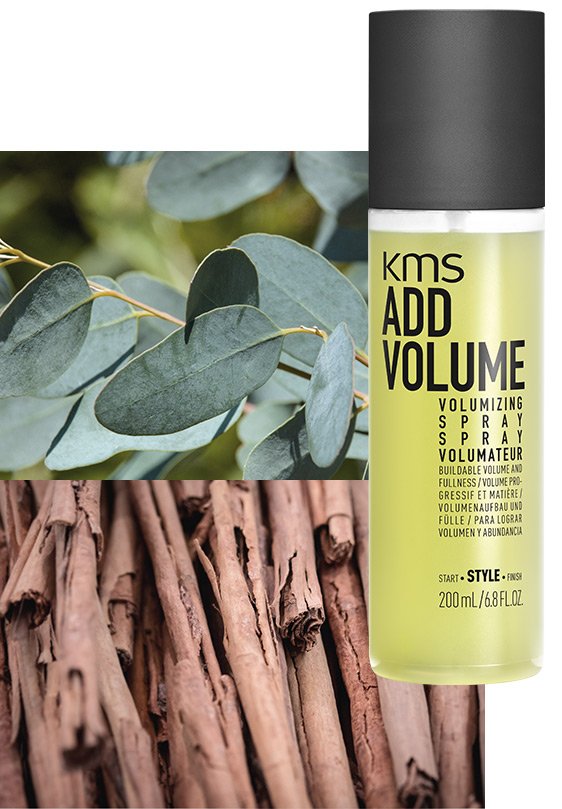 ADDVOLUME Volumizing Spray ADDVOLUME Volumizing Spray