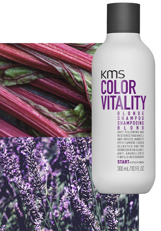 Overskyet Bar Blive KMS Colorvitality Blonde Shampoo