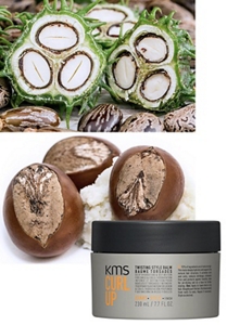 Curlup Twisting Style Balm infront of castor seeds and shea butter