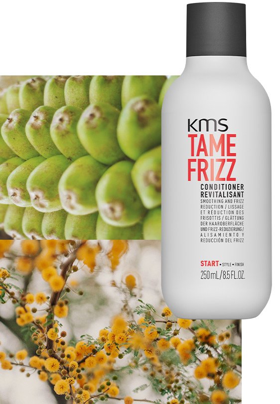 TAMEFRIZZ Shampoo TAMEFRIZZ Shampoo