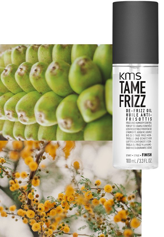 TAMEFRIZZ De-Frizz Oil TAMEFRIZZ De-Frizz Oil