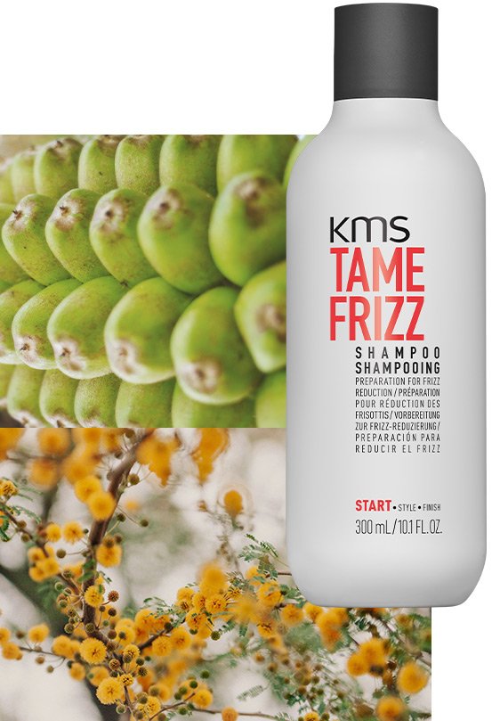 KMS Shampoo