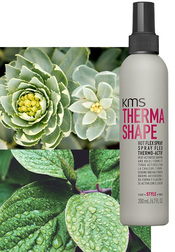 https://kao-h.assetsadobe3.com/is/image/content/dam/sites/kaousa/www-kmshair-com/Master/ingredients/thermashape-hot-flex-spray.jpg?fmt=jpeg&qlt=85&wid=562