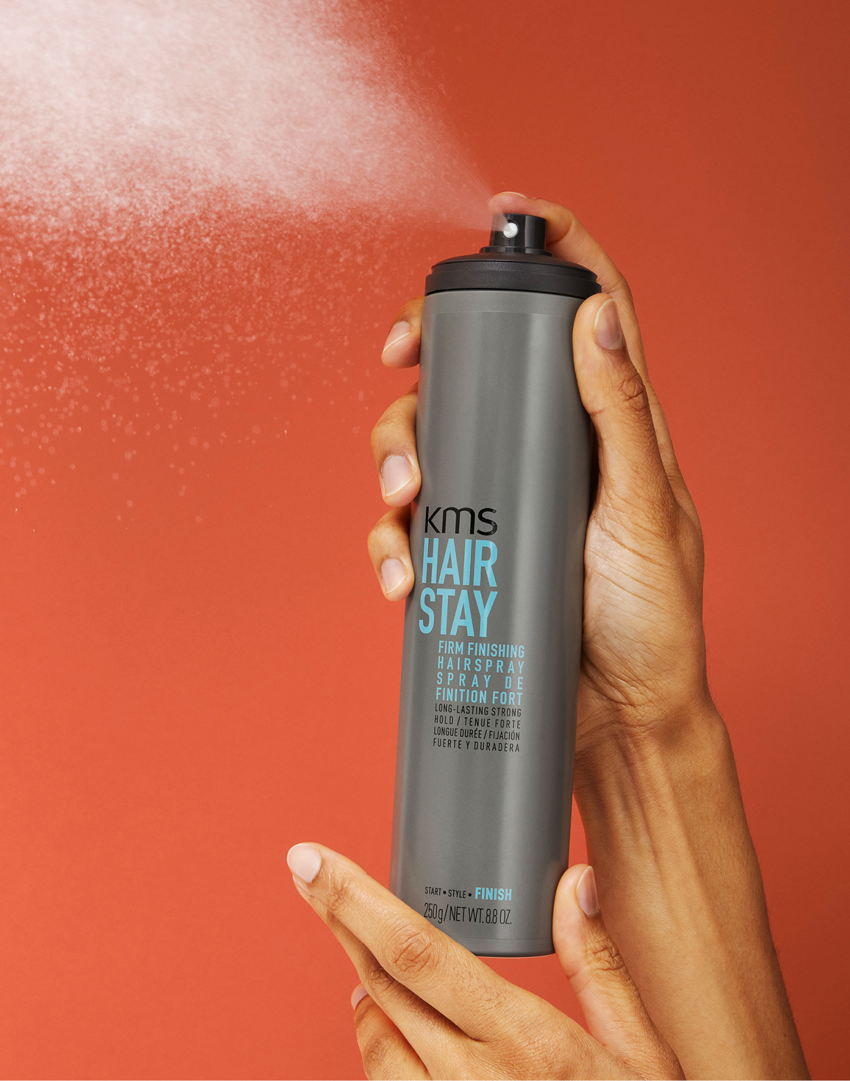 HAIRSTAY Firm Finishing Spray HAIRSTAY Firm Finishing Spray