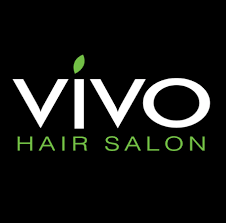 Vivo-Logo