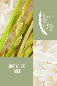 INGRED_01_MA_AV_Rice_KMS_EVO03