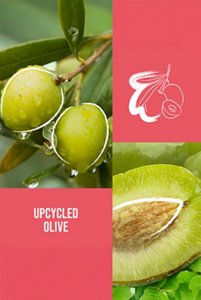 INGRED_01_MA_AS_Olives_KMS_EVO03