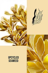 KMS_Desktop_BeachStyle_Creme5_Caroussel_518_776