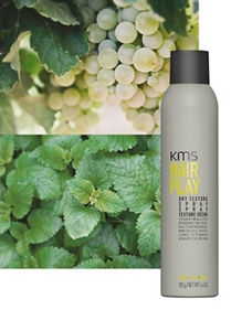 Hairplay Dry Texture spray infront of grapes and peppermint
